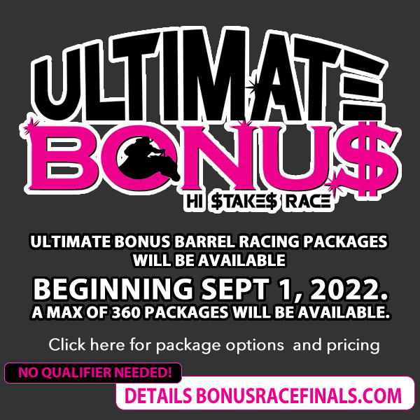 ultimate bonus race hi stakes race 